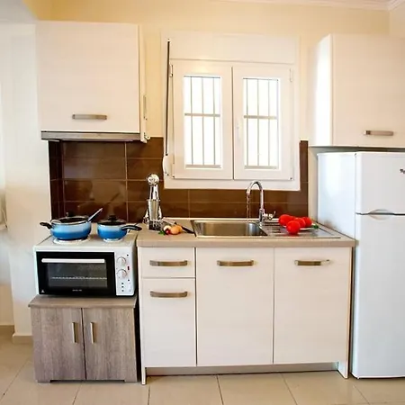 公寓 E & M Nea Iraklitsa