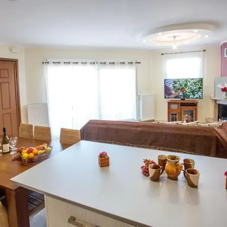 E & M Apartment Nea Iraklitsa